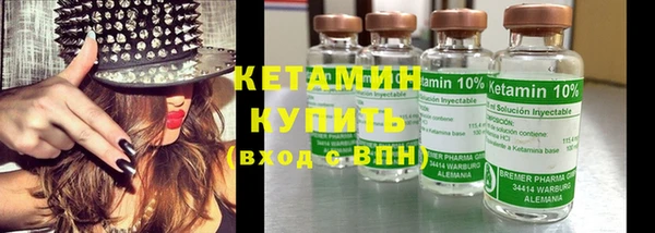 шишки Анива