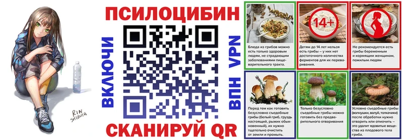Псилоцибиновые грибы Cubensis  Уржум 