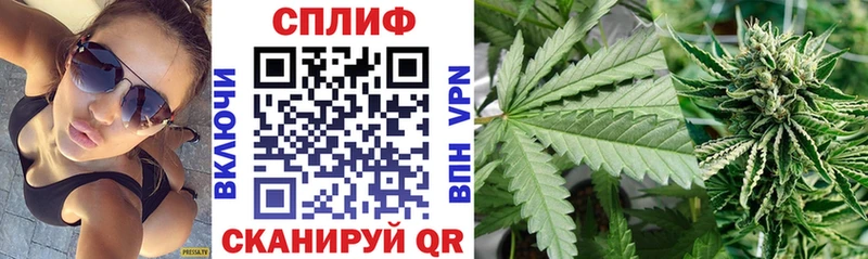 Каннабис SATIVA & INDICA  Уржум 
